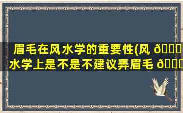 眉毛在风水学的重要性(风 🍀 水学上是不是不建议弄眉毛 🕊 )